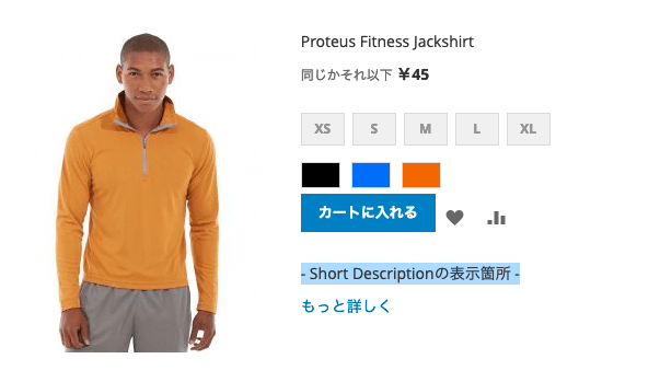 Magento 商品一覧画面 Short Description