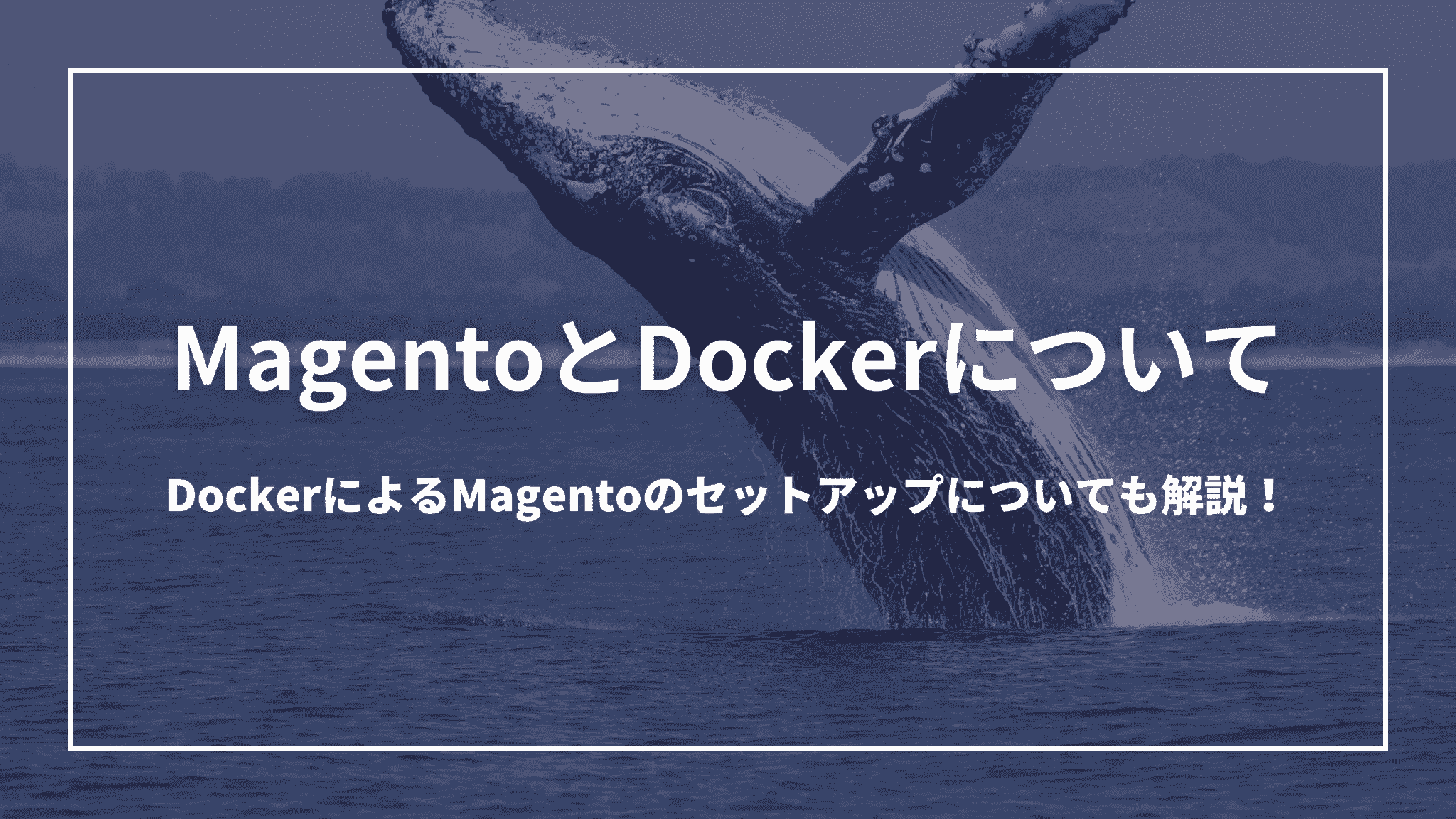 3 MagentoとDockerについて:DockerによるMagentoのセットアップについても解説!